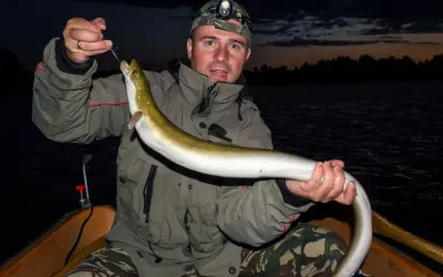 Ein Angler hält stolz einen frisch gefangenen aal im see. Die Nacht bricht herein, doch die Jagd war erfolgreich.