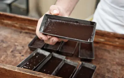 Mani esperte versano cioccolato lavorato a freddo in stampini metallici, pronti per diventare delizie artigianali.