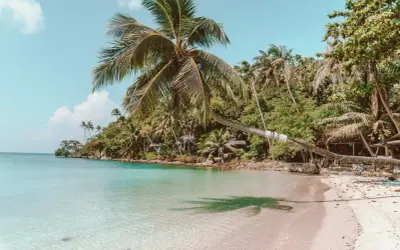 Rajska plaża z palmami i krystalicznie czystą wodą. Zastanawiasz się, ile się leci do Tajlandii, by poczuć taki spokój?