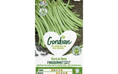 Haricots verts Gondian FINGOURMET, extra fins et sans fil. Les meilleurs pour un goût incomparable. Conditionnés en France.