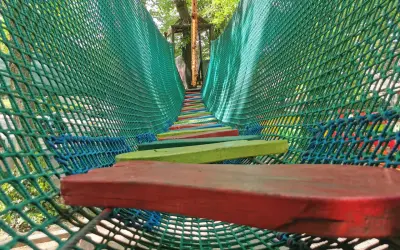 Park Linowy Jankowice: Rodzinna zabawa za 0 zł pod Poznaniem