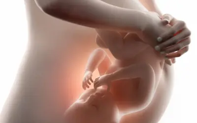 Dziecko w łonie matki, przygotowujące się do pierwszego oddechu. Delikatne ruchy, jak dziecko oddycha w brzuchu, czuć przez skórę.