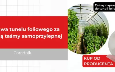 Naprawa folii tunelu: Jak skutecznie załatać dziurę?