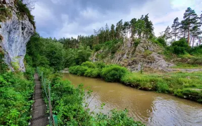 Most na skalnym zboczu w słowackim parku narodowym, nad brązową rzeką, otoczony bujną zielenią i drzewami.