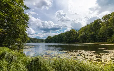 Spokojne jezioro w Drawskim Parku Krajobrazowym, otoczone bujną zielenią drzew i porośnięte liliami wodnymi.