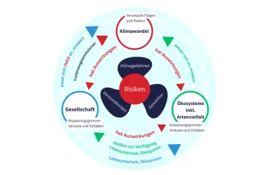 Kreislauf von Klimawandel, Risiken und Auswirkungen auf Gesellschaft und Ökosysteme. Zeigt, wie Anpassung und sozialer Ausgleich wichtig sind.