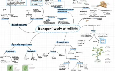 Mapa myśli przedstawiająca transport wody w roślinie, obejmująca mechanizmy, aparaty szparkowe, transpirację, pobieranie składników mineralnych i czynniki wpływające na ten proces.