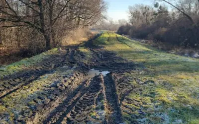 Błotnista ścieżka na wał przeciwpowodziowy, z widocznymi śladami opon i kałużami. Po lewej stronie las, po prawej trawa z pierwszym szronem.