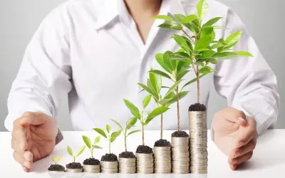 Oszczędności rosną jak drzewka na stosach monet. Dowiedz się, jak przelać pieniądze z konta oszczędnościowego na zwykłe, by Twoje finanse kwitły.