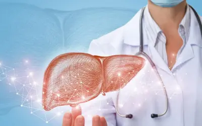 Lekarz hepatolog prezentuje schemat wątroby, symbolizujący diagnostykę i leczenie chorób tego narządu.