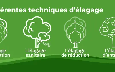 Quatre illustrations montrent différentes techniques pour élaguer un arbre : formation, sanitaire, réduction et entretien.