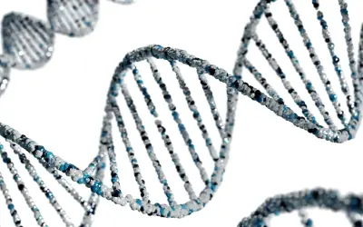 Struktura DNA, symbolizująca dziedziczność i potencjał, pokazuje, od czego zależy inteligencja.
