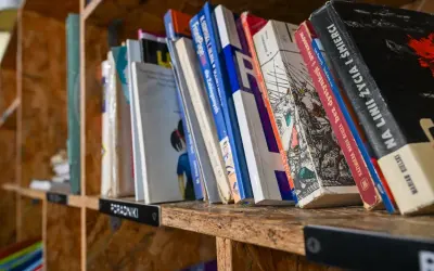 Książki na półce, idealne miejsce, gdzie oddać książki Poznań. Różnorodne tytuły, od poradników po literaturę.