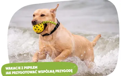 Suka zjada szczeniaki? Instynkt, choroba czy stres? Poznaj prawdę.