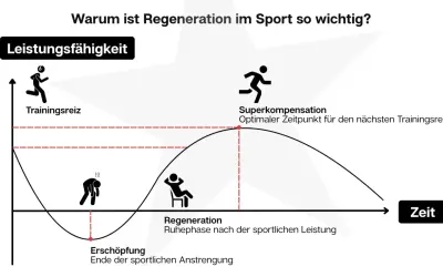 Grafik zeigt den Zyklus von Trainingsreiz, Erschöpfung und Regeneration. Nach der Erschöpfung folgt die Regeneration, die zur Superkompensation führt, dem optimalen Zeitpunkt für den nächsten Trainingsreiz.