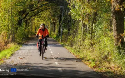 En person cyklar på en asfalterad cykelväg kantad av träd i höstfärger. En härlig cykeltur i Åkersberga.