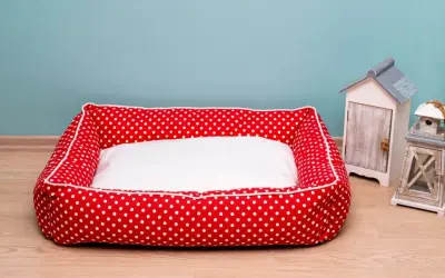 Rotes Hundebett mit weißen Punkten und weißer Liegefläche, bereit fürs hundebett waschen. Daneben stehen Deko-Häuschen.