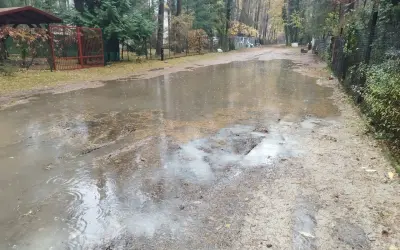 Po ulewnym deszczu powstał duży staw na drodze w Sokolnikach w lesie. Woda odbija drzewa i niebo.