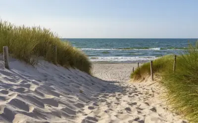 Piaskowa ścieżka prowadzi na plażę. Kiedy najlepiej jechać nad morze po jod? Wiosna i jesień to idealne pory roku.