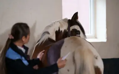 Eine Frau untersucht das Bein eines Pferdes, um eine mögliche Trittverletzung zu behandeln.