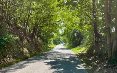 Najlepsze trasy motocyklowe w Lubelskim - odkryj malownicze szlaki
