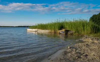 Dwa stare łodzie przy brzegu dużego jeziora, otoczone wysoką trzciną. Niebo błękitne z białymi chmurami.