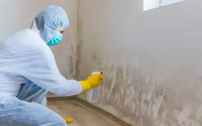 Persona con traje protector y mascarilla rocía producto para eliminar moho en la pared.