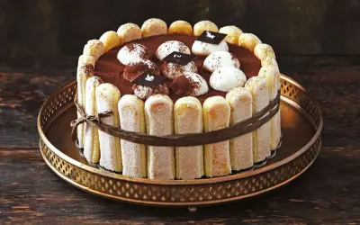 Ein köstliches, original italienisches Tiramisu-Torte, umrandet von Löffelbiskuits und verziert mit Kakao und Schokolade.