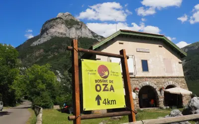 Cartel indica "Bosque de Oza 4km" en un día soleado en el valle de hecho, con una casa forestal y montañas al fondo.