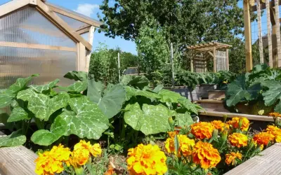 Un potager luxuriant avec des courges, des choux et des œillets d'Inde éclatants. Une serre en bois et une tonnelle complètent ce paysage verdoyant.