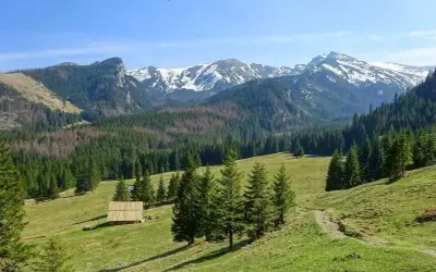 Malowniczy widok na Tatry. Drewniana chata i szlak turystyczny zachęcają do odkrywania atrakcji w górach.