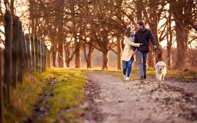 Coppia felice passeggia con cane al tramonto. Forse è così che si conquista un controdipendente: con amore e serenità.