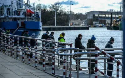 Ludzie cierpliwie czekają, kiedy łowi się śledzie w porcie. W tle niebieski statek i budynki portowe.