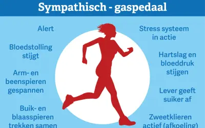 Rode silhouet van een rennende persoon, met tekst die de effecten van een **sympathisch zenuwstelsel overprikkeld** beschrijft, zoals verhoogde hartslag en alertheid.