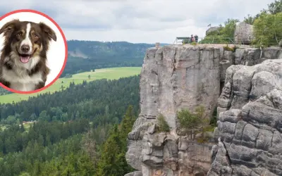 Uśmiechnięty piesek w okręgu, na tle skalistych Gór Stołowych. Czy można wprowadzić psa na szlaki w parku narodowym?