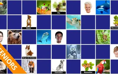 Jeu de mémoire dur : toucan, grenouille, pin, boxer, tortue, marronnier d'Inde, homme, ours brun, dauphin, homme, cerf, chouette, aigle, berger des Shetland, renard, dalmatien, noisetier, ara.