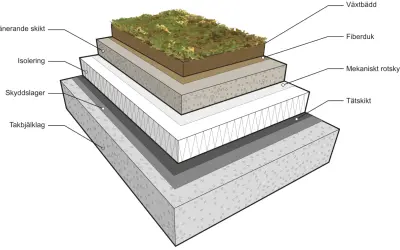 Detaljerad illustration av en sedumtak konstruktion med lager som växtbädd, fiberduk, isolering och tätskikt.