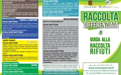 Guida alla raccolta differenziata: scopri dove si butta ogni rifiuto per un pianeta più pulito.