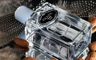 Elegancka butelka Prada Infusion d'Amande otoczona piórami i migdałami, tworząc subtelną kompozycję.