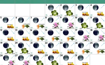 Calendrier lunaire du jardinier. Ce calendrier indique les phases lunaires et les jours propices pour planter fruits, légumes ou fleurs.