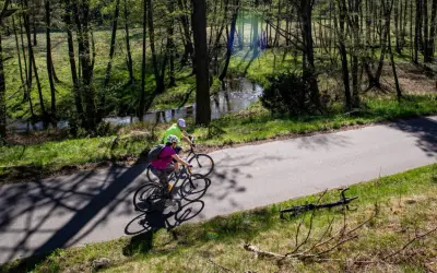 Dwie osoby na rowerach przemierzają malownicze bory tucholskie. Trasy rowerowe wiodą przez las, wzdłuż strumienia.