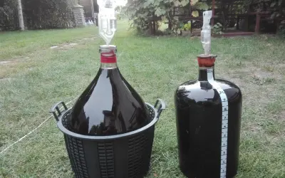 Ile drożdży na 5l wina? Klucz do idealnej fermentacji!