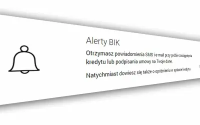 Oszuści wyłudzają pożyczki: Jak się chronić? Poradnik BIK.