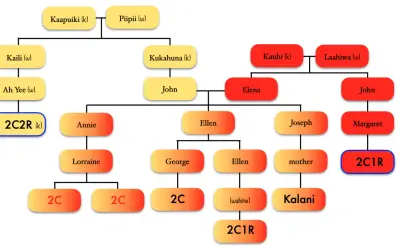 Arbre généalogique avec des noms et des liens familiaux, utilisant des formes colorées.