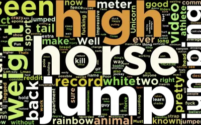Rekord skoku na koniu, czyli "high jump" w chmurze słów. Widoczne słowa to m.in. "horse", "jump", "record", "white", "two", "rider".