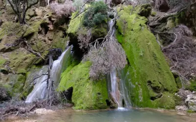 Cascada cubierta de musgo verde vibrante, con agua cayendo sobre rocas y formando un pequeño estanque. Es salt des freu, un rincón natural.
