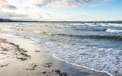 Plaża z falami i wodorostami, w oddali widać molo. To urokliwe kąpielisko w powiecie puckim zaprasza do spacerów.