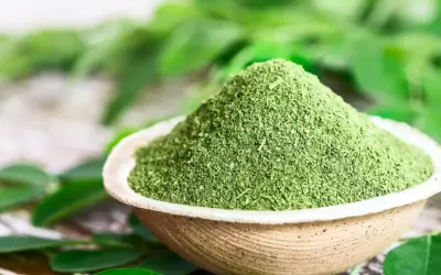 Zielony proszek z liści moringa w miseczce, otoczony świeżymi liśćmi. Lekarze często polecają liście moringa ze względu na ich cenne właściwości.