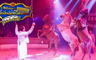 Arena der Attraktionen: Zirkus vs. Phantasialand - Was passt?
