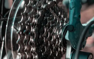 Zbliżenie na kasetę zębatą roweru, pokazującą mechanizm przerzutek.